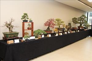 1. Uluslararası Bonsai Sempozyumu Gerçekleştirildi